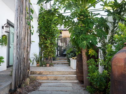 Início Casa Terra - Welcome